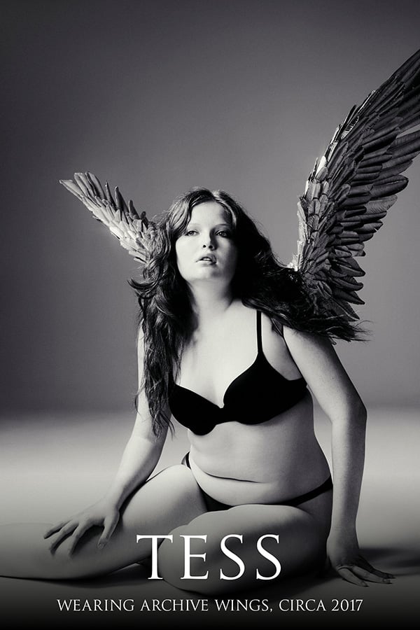 xx_wings_gallery_art-2