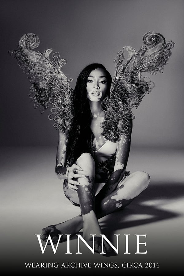 xx_wings_gallery_art16-1