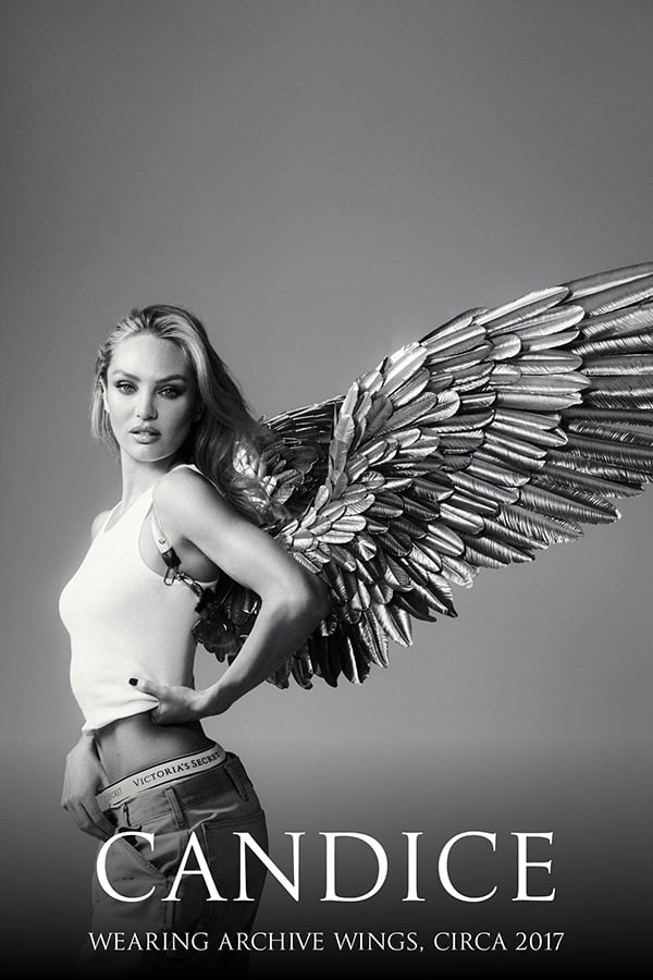 xx_wings_gallery_art6-1